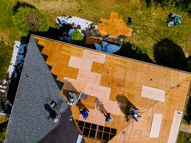 Best Storm Damage Roof Repair  in Crookston, MN