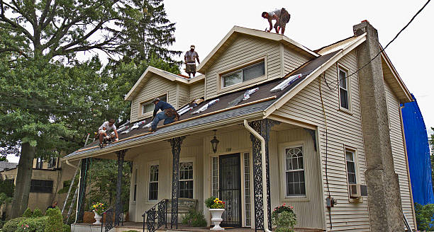 Best Shingle Roofing Installation  in Crookston, MN